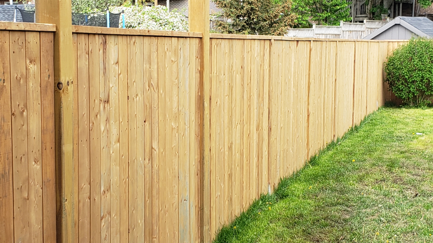 A wooden fence in a backyard with a green lawn